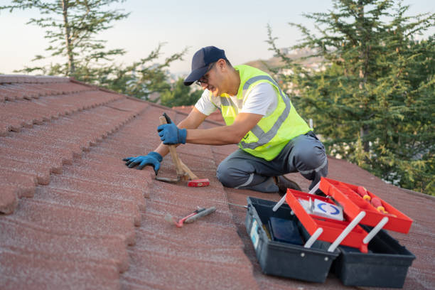 Best Roof Gutter Cleaning  in Easton, CA
